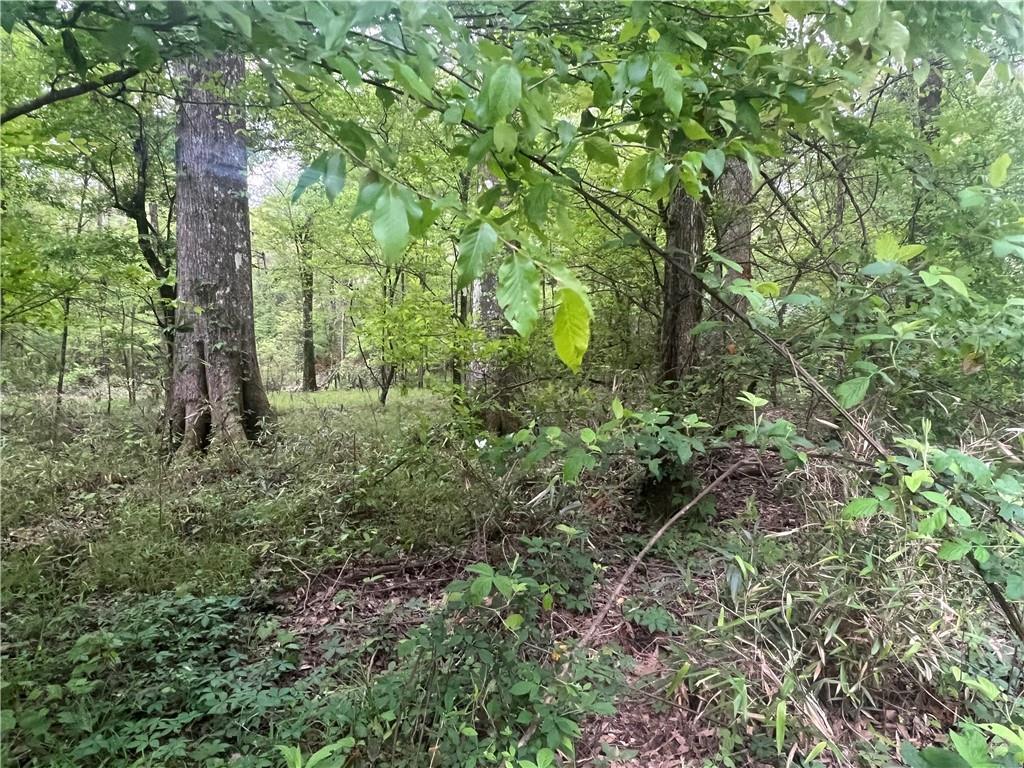 0 Hooper Road Deville, LA 71328 - Photo 7 of 45