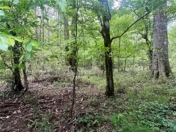 $139,000 | 0 Hooper Road, Deville, LA 71328