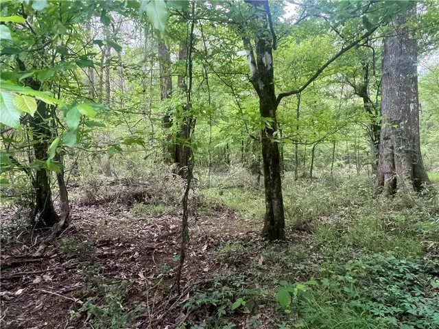 $139,000 | 0 Hooper Road, Deville, LA 71328