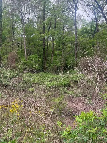 $139,000 | 0 Hooper Road, Deville, LA 71328