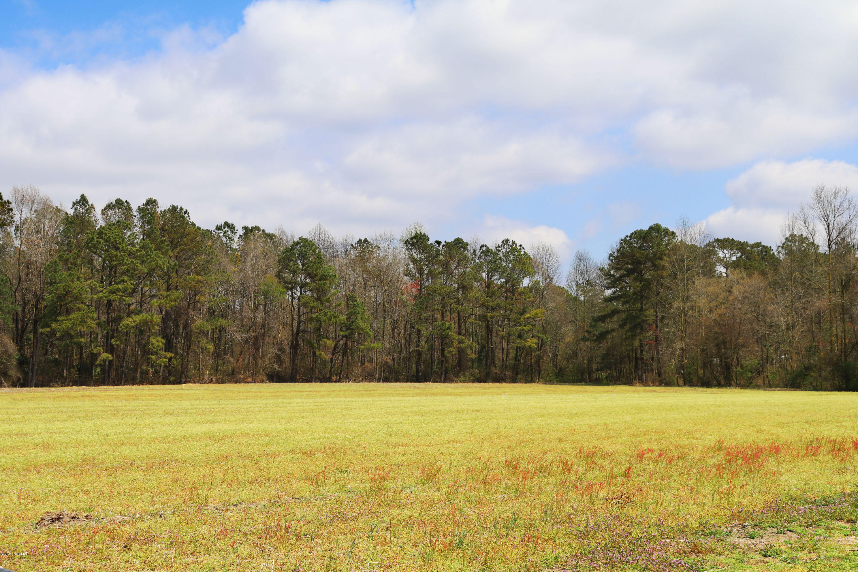 155 Matthew Road Wallace, NC 28466 - Photo 13 of 63 M15
