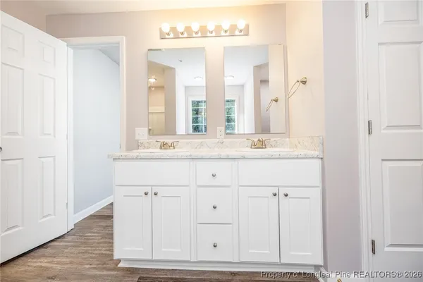 a bathroom with a sink vanity and a mirror
