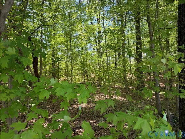 $16,000 | 0 North West Avenue, Blackstone, VA 23824