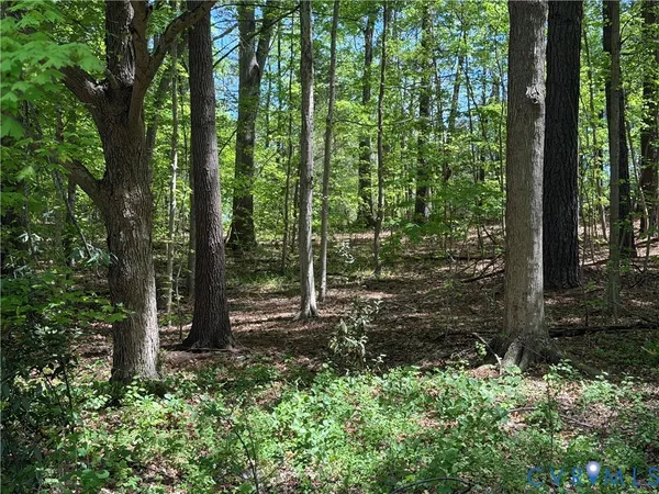 $16,000 | 0 North West Avenue, Blackstone, VA 23824