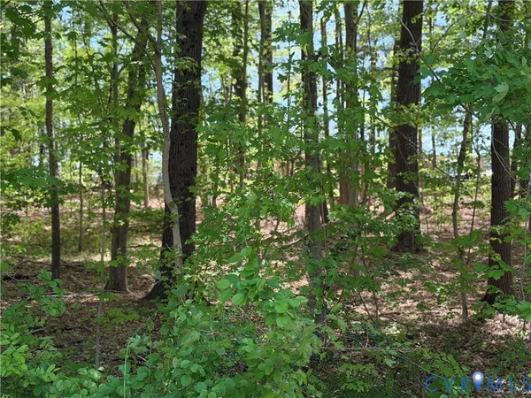 $16,000 | 0 North West Avenue, Blackstone, VA 23824