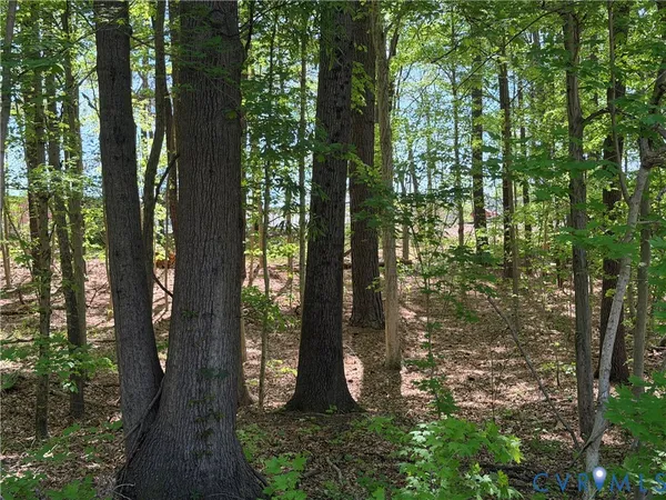 $16,000 | 0 North West Avenue, Blackstone, VA 23824