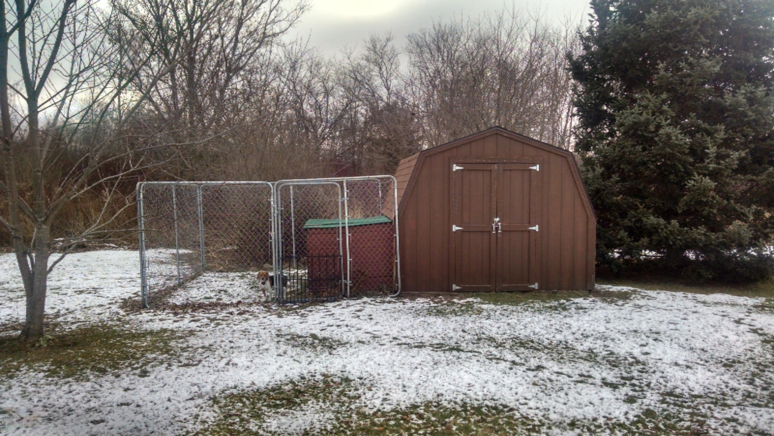 847 Tow Road Southeast Stanton, MI 48888 - Photo 7 of 10 IMG_20141210_112058492_HDR