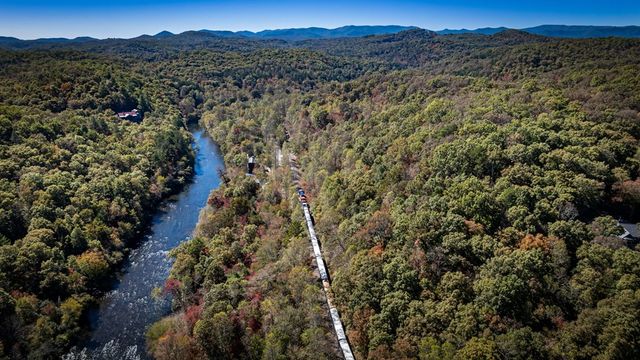 a view of a city with lush green forest