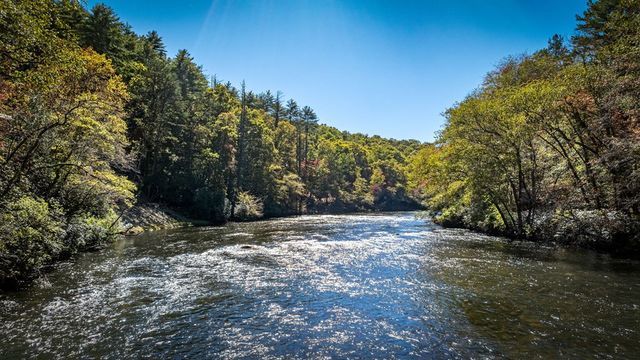 a view of a yard with large trees