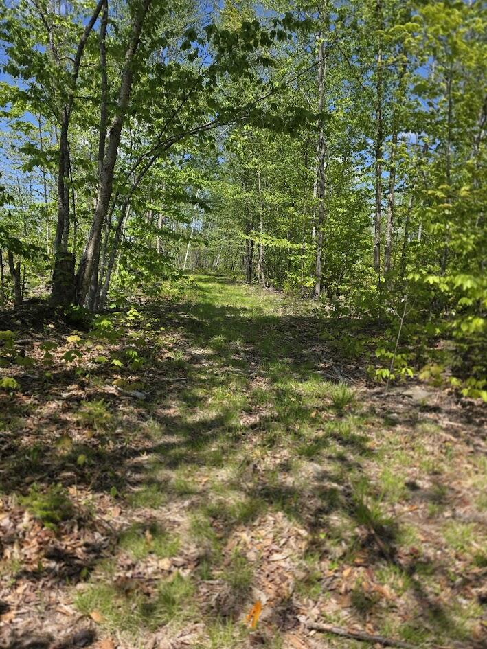 Lot 6 South Treadwell Hill Road Springfield, ME 04487 - Photo 7 of 14 20260526_134347