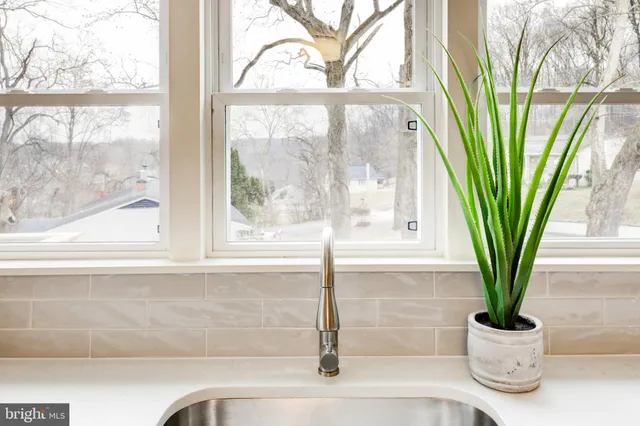 a view of a potted plant in front of a window