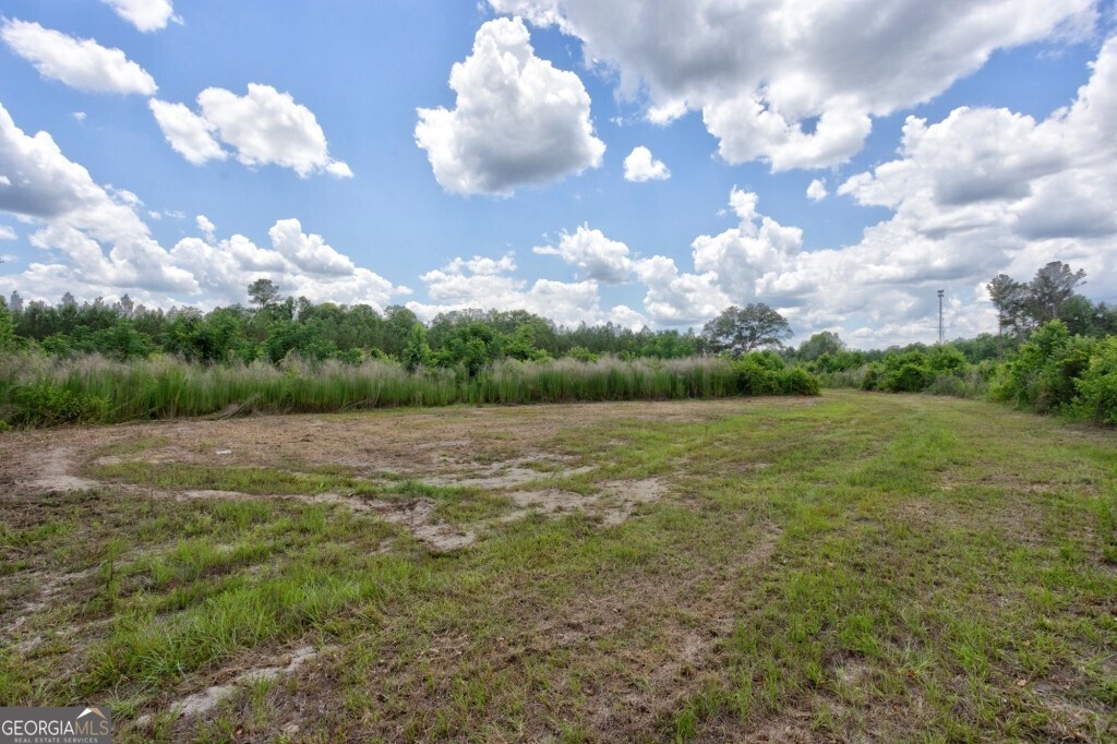 0 Highway 204 & Carlos Cowart Road Pembroke, GA 31321 - Photo 45 of 47