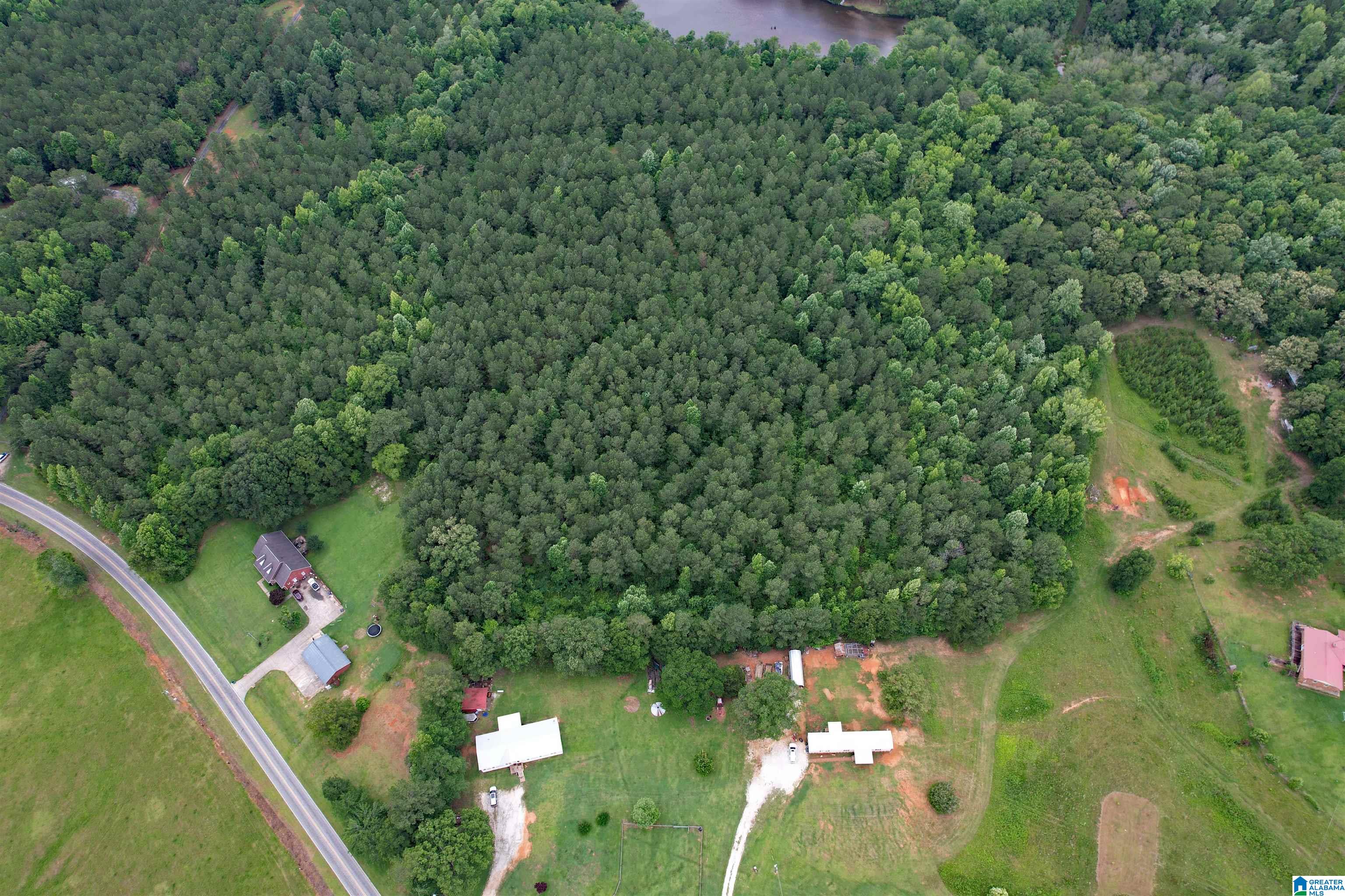 0 Houston Road Sylacauga, AL 35151 - Photo 7 of 32
