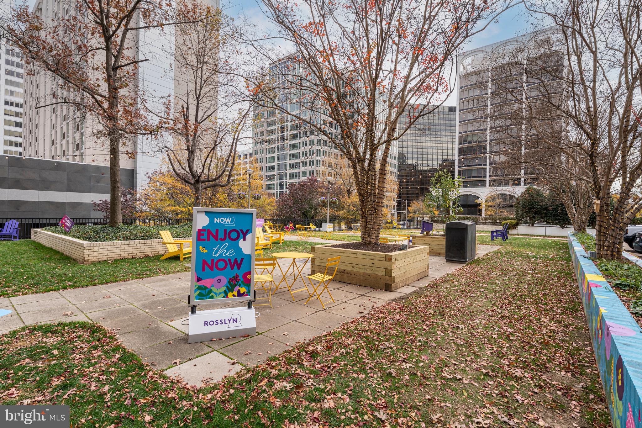 1600 Clarendon Boulevard, Unit W108 Arlington, VA 22209 - Photo 34 of 50 a park view with tree and garden