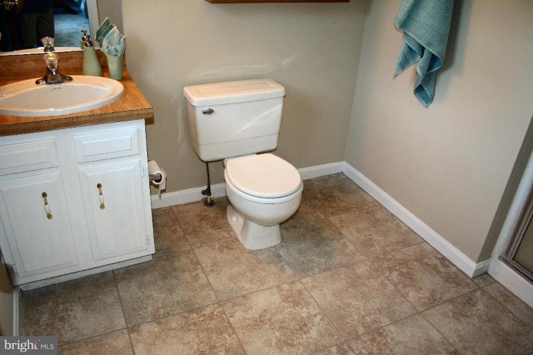 29112 Ridge Road Mount Airy, MD 21771 - Photo 22 of 26 Master Bath