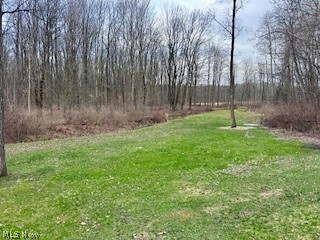 5740 Marvin Road Andover, OH 44003 - Photo 12 of 25