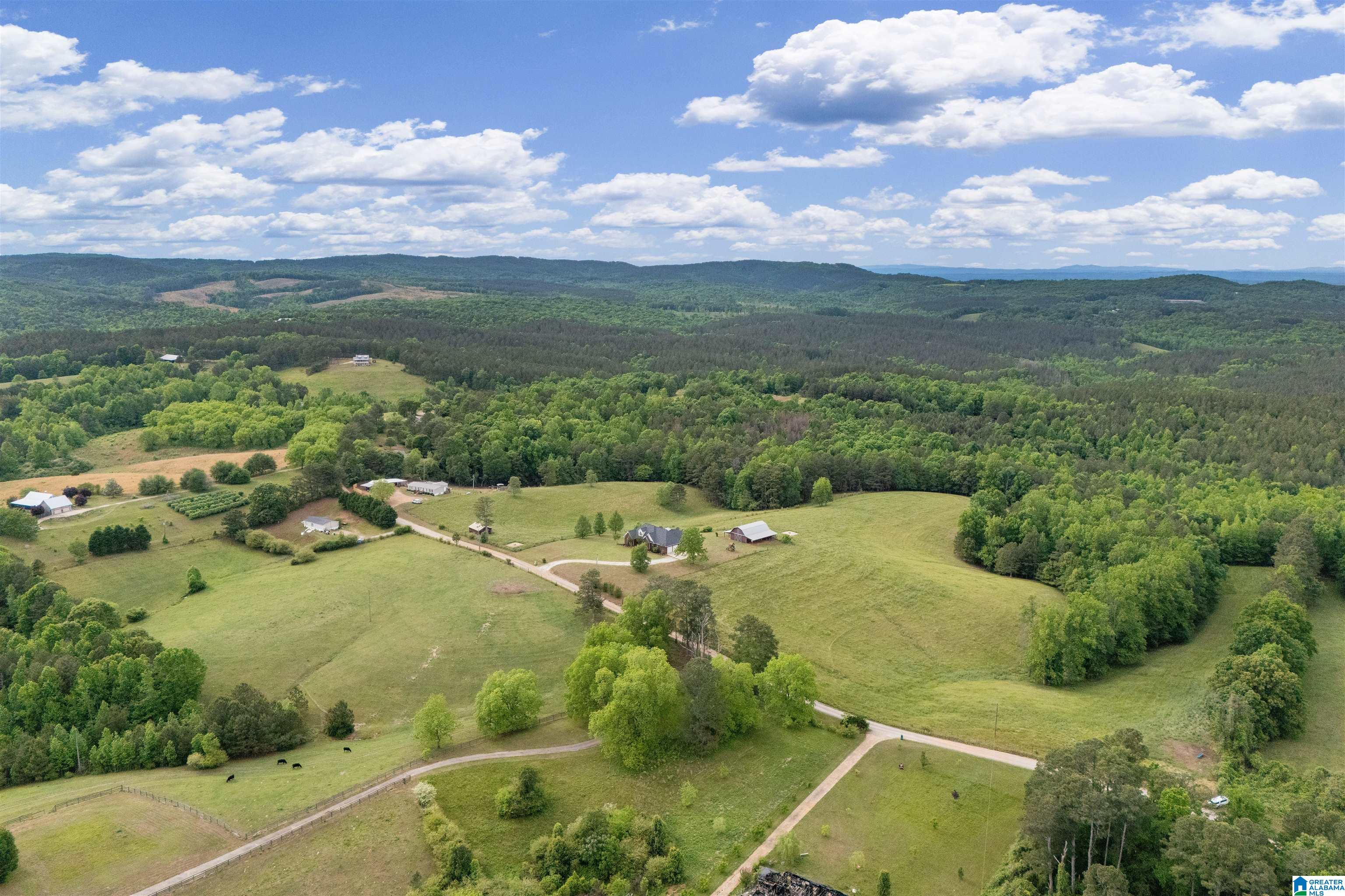 1435 County Road 633 Ranburne, AL 36273 - Photo 4 of 96