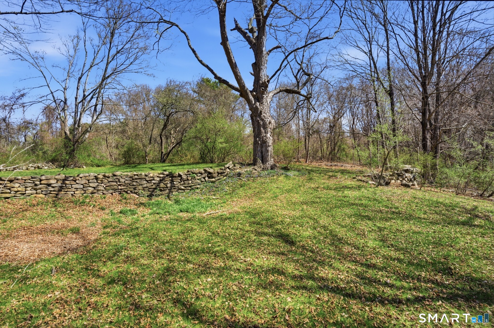 604 Pendleton Hill Road North Stonington, CT 06359 - Photo 39 of 39 a big yard with lots of green space and plants