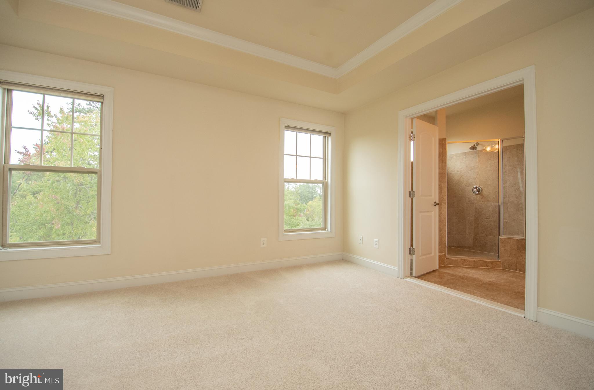 22199 Falling Terrace Ashburn, VA 20148 - Photo 35 of 58 an empty room with windows and closet