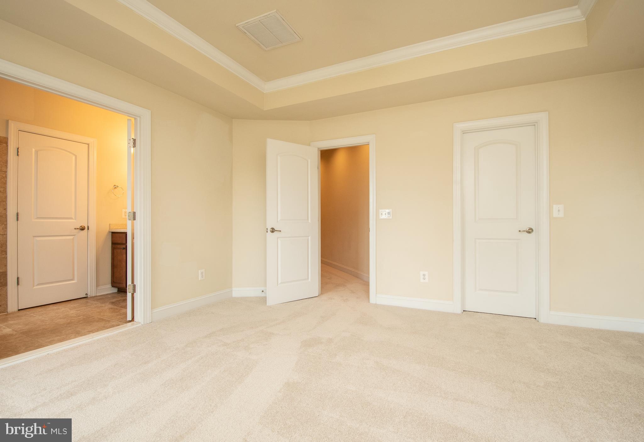 22199 Falling Terrace Ashburn, VA 20148 - Photo 36 of 58 an empty room with closet area
