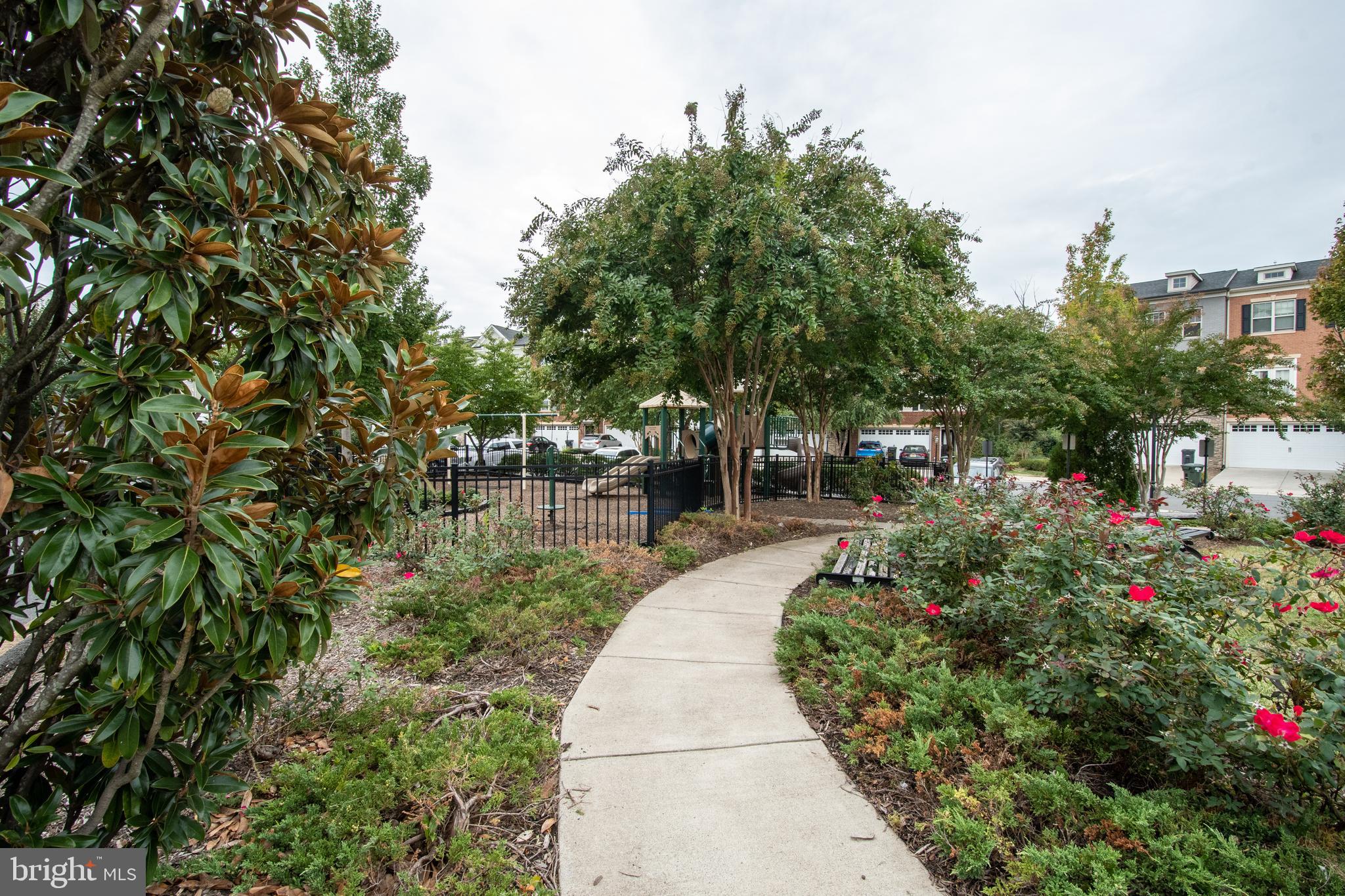 22199 Falling Terrace Ashburn, VA 20148 - Photo 58 of 58 a view of a garden with flowers