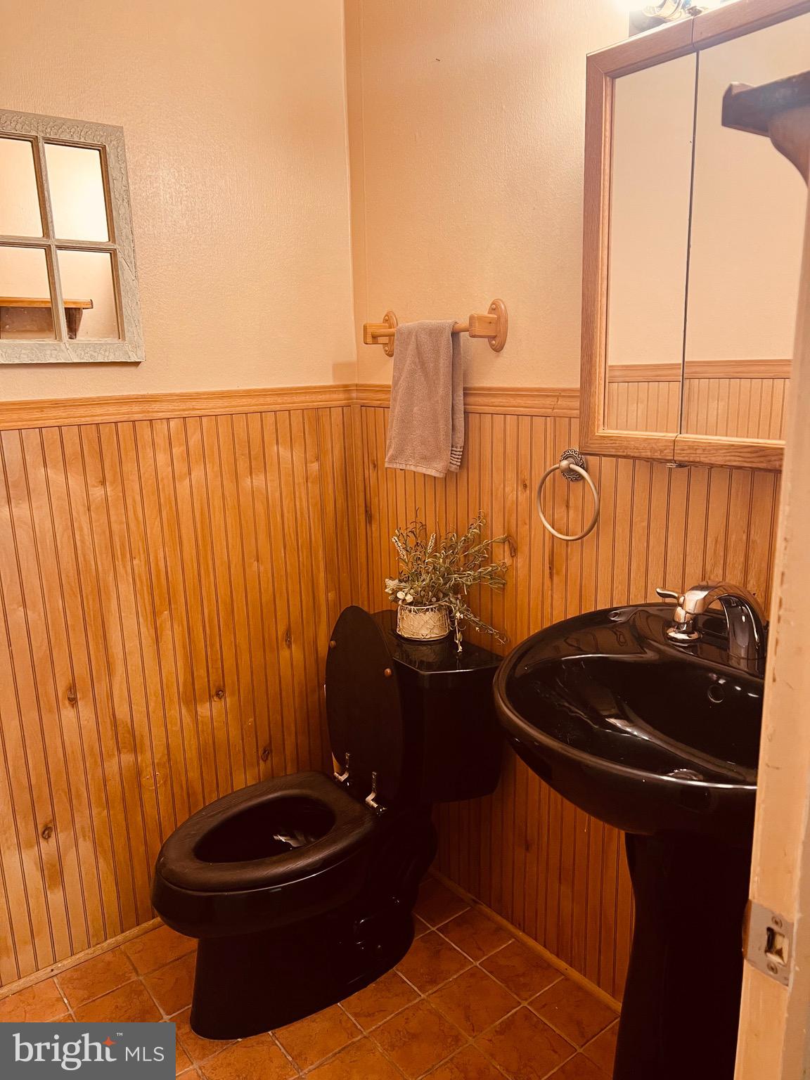 425 Beechcroft Road Winchester, VA 22601 - Photo 12 of 21 a bathroom with a sink and a mirror