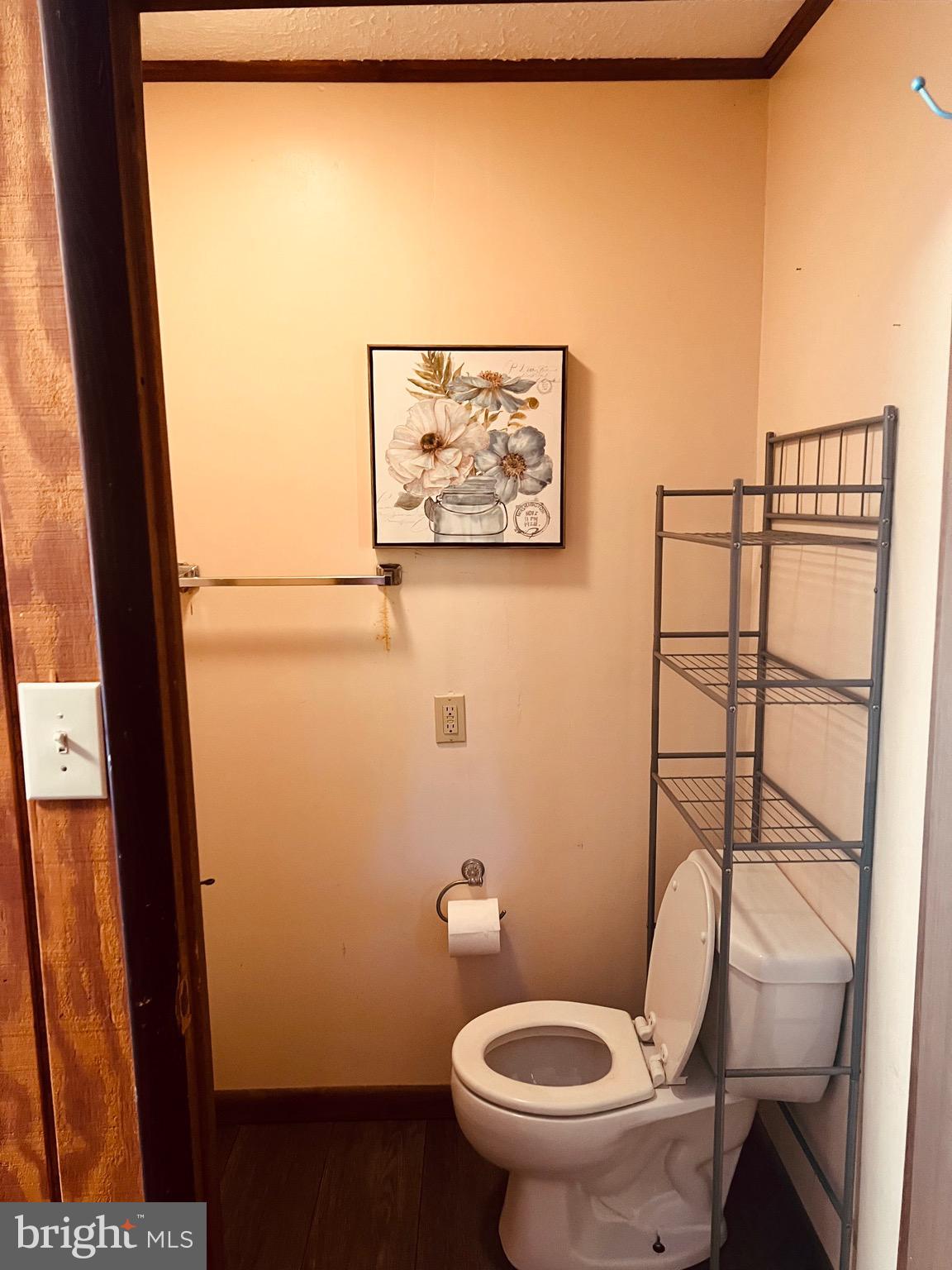 425 Beechcroft Road Winchester, VA 22601 - Photo 20 of 21 a bathroom with a toilet and a shower