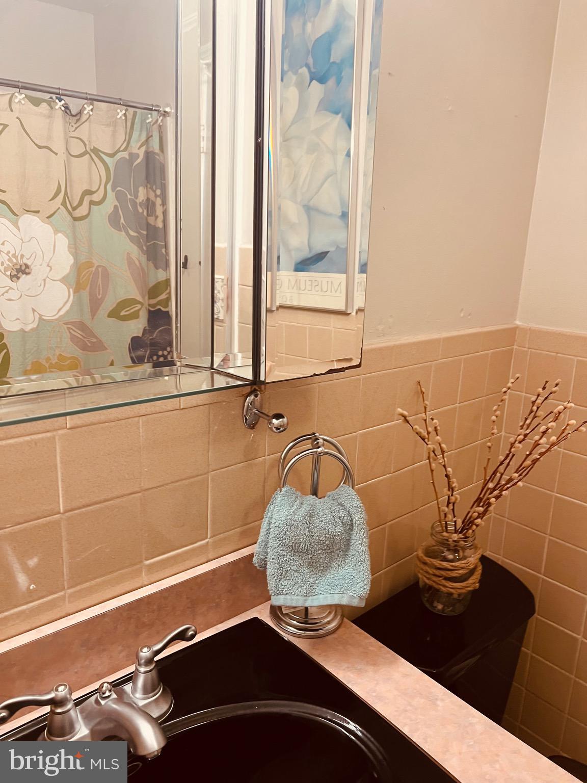425 Beechcroft Road Winchester, VA 22601 - Photo 10 of 21 a bathroom with a sink and a mirror