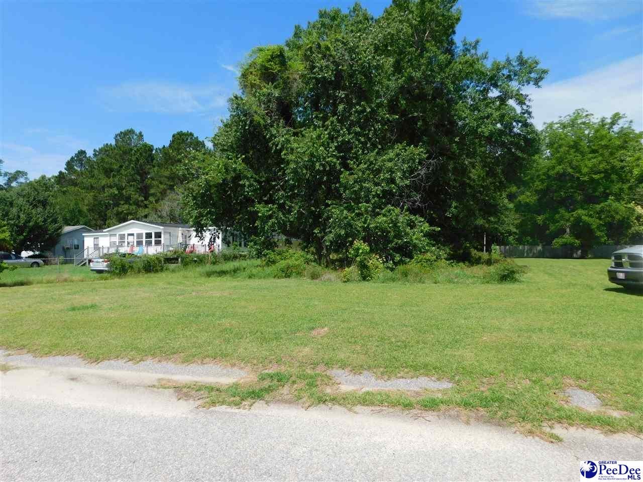 Tbd Conestoga Street Manning, SC 29102 - Photo 1 of 1 Gallery Image 1