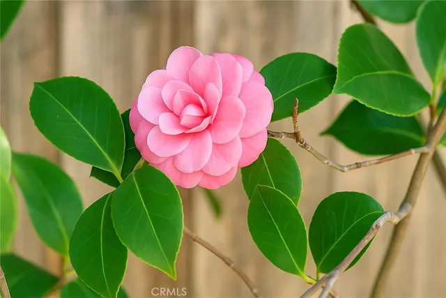 $1,850,000 | 14112 Picasso Court, Irvine, CA 92606