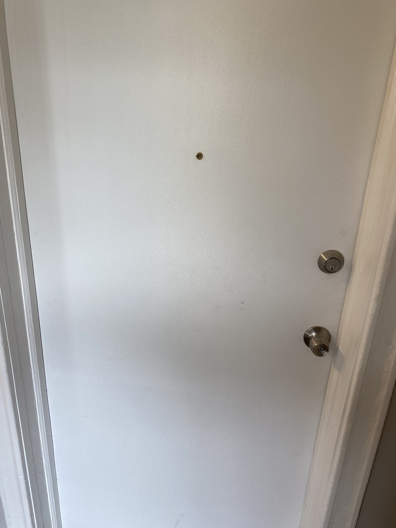 7425 South Princeton Avenue, Unit 2 Chicago, IL 60621 - Photo 13 of 24