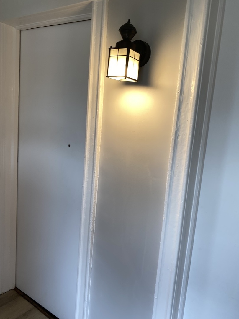 7425 South Princeton Avenue, Unit 2 Chicago, IL 60621 - Photo 14 of 24 a view of a bathroom with a sink and a vanity