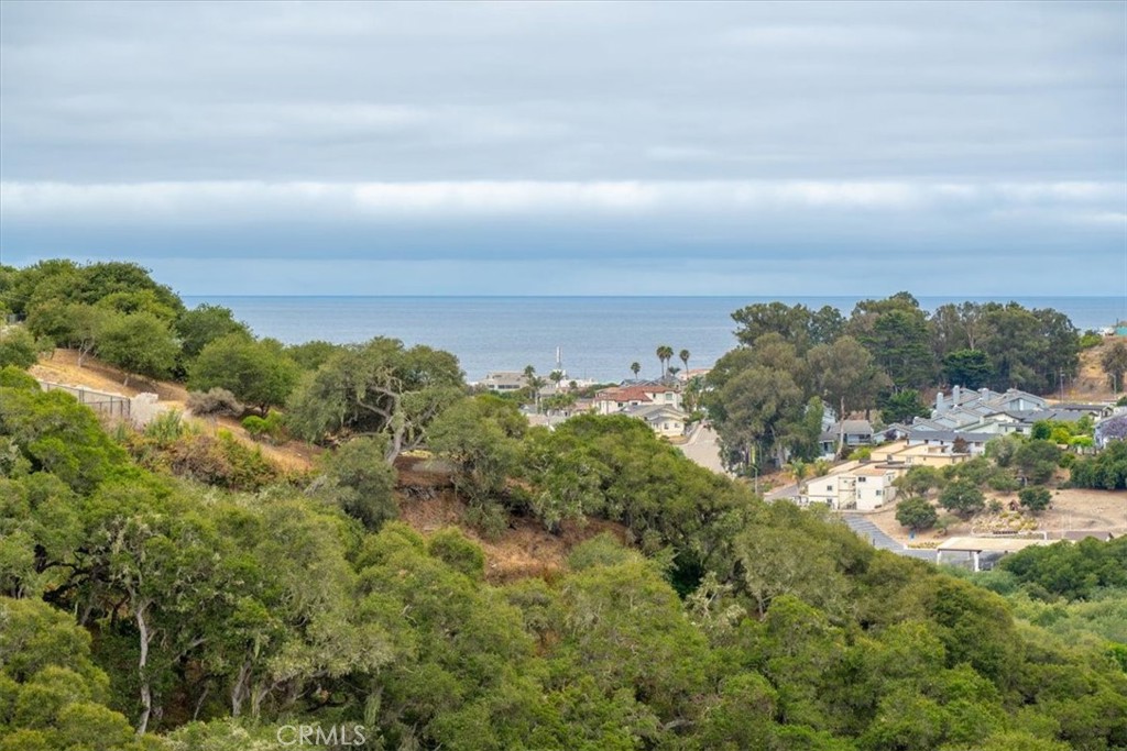 207 Princessa Lane Pismo Beach, CA 93449 - Photo 24 of 38 a view of a bunch of trees in background