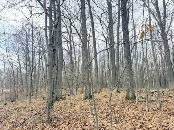 $65,000 | Lot 4 Hwy X Glen, Glen Flora, WI 54526