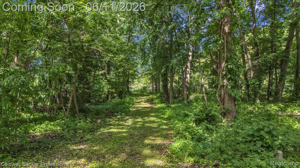 76107 Van Dyke Road Romeo, MI 48065 - Photo 38 of 42