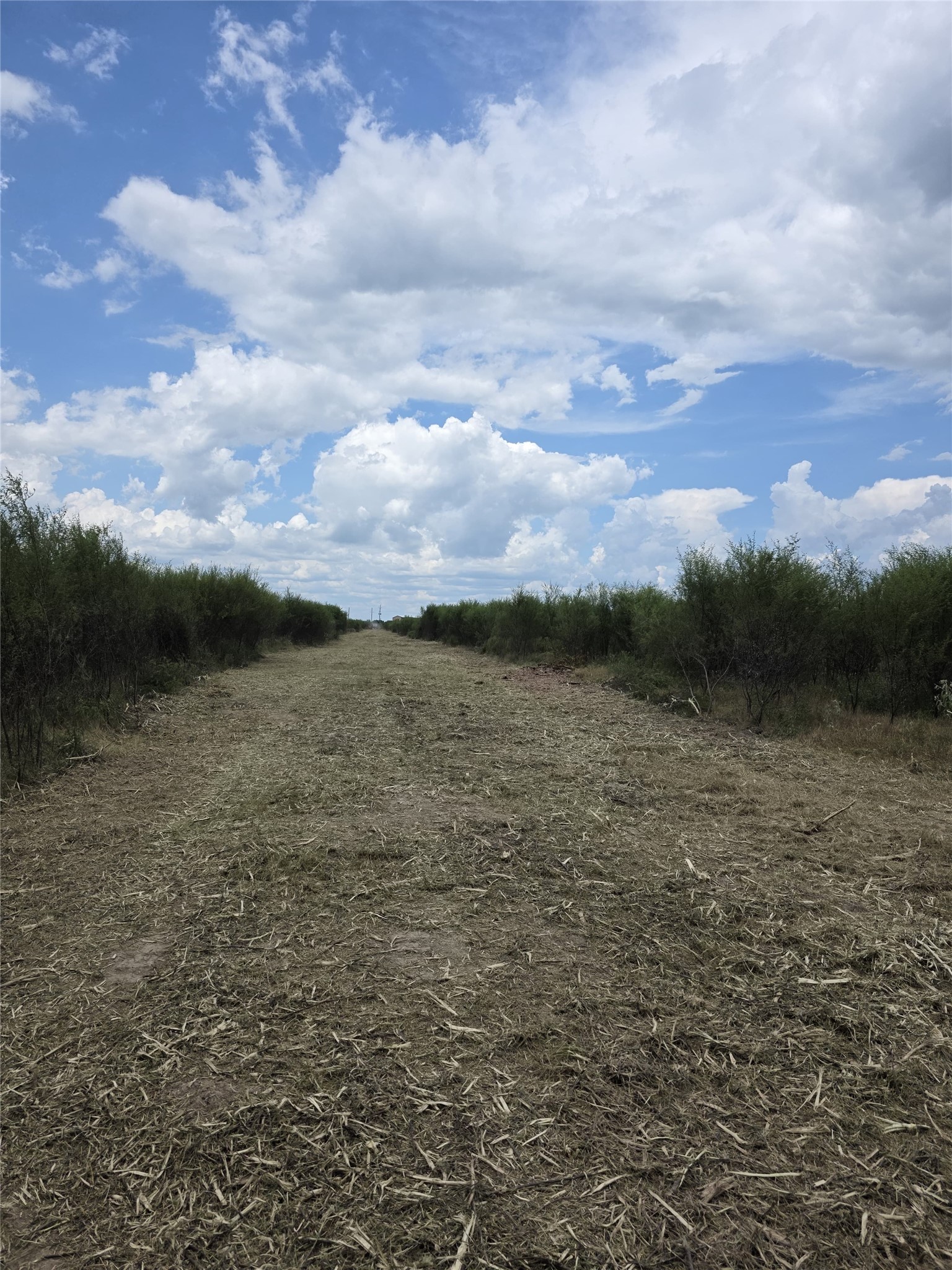 36847 2 Richard Frey Road Hempstead, TX 77445 - Photo 19 of 30