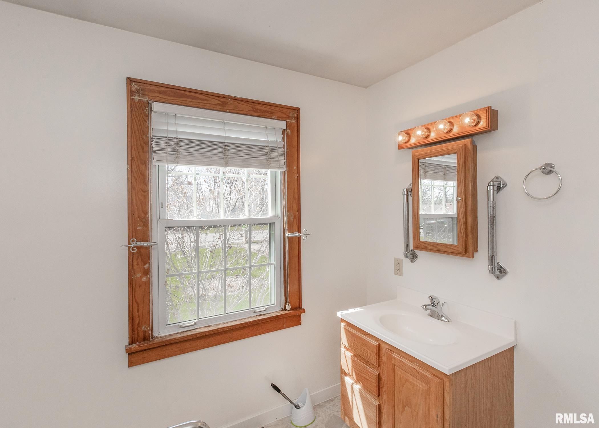 407 Maple Street Colona, IL 61241 - Photo 20 of 32 Gallery Image 20