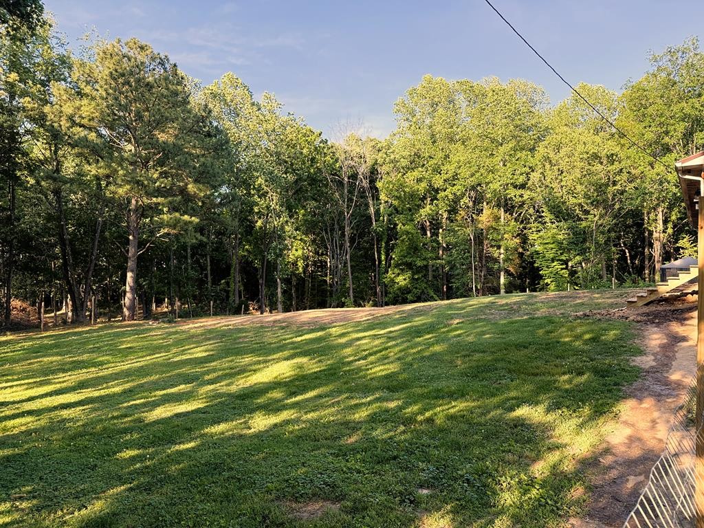 1348 Union Hill Road Red Boiling Springs, TN 37150 - Photo 41 of 52