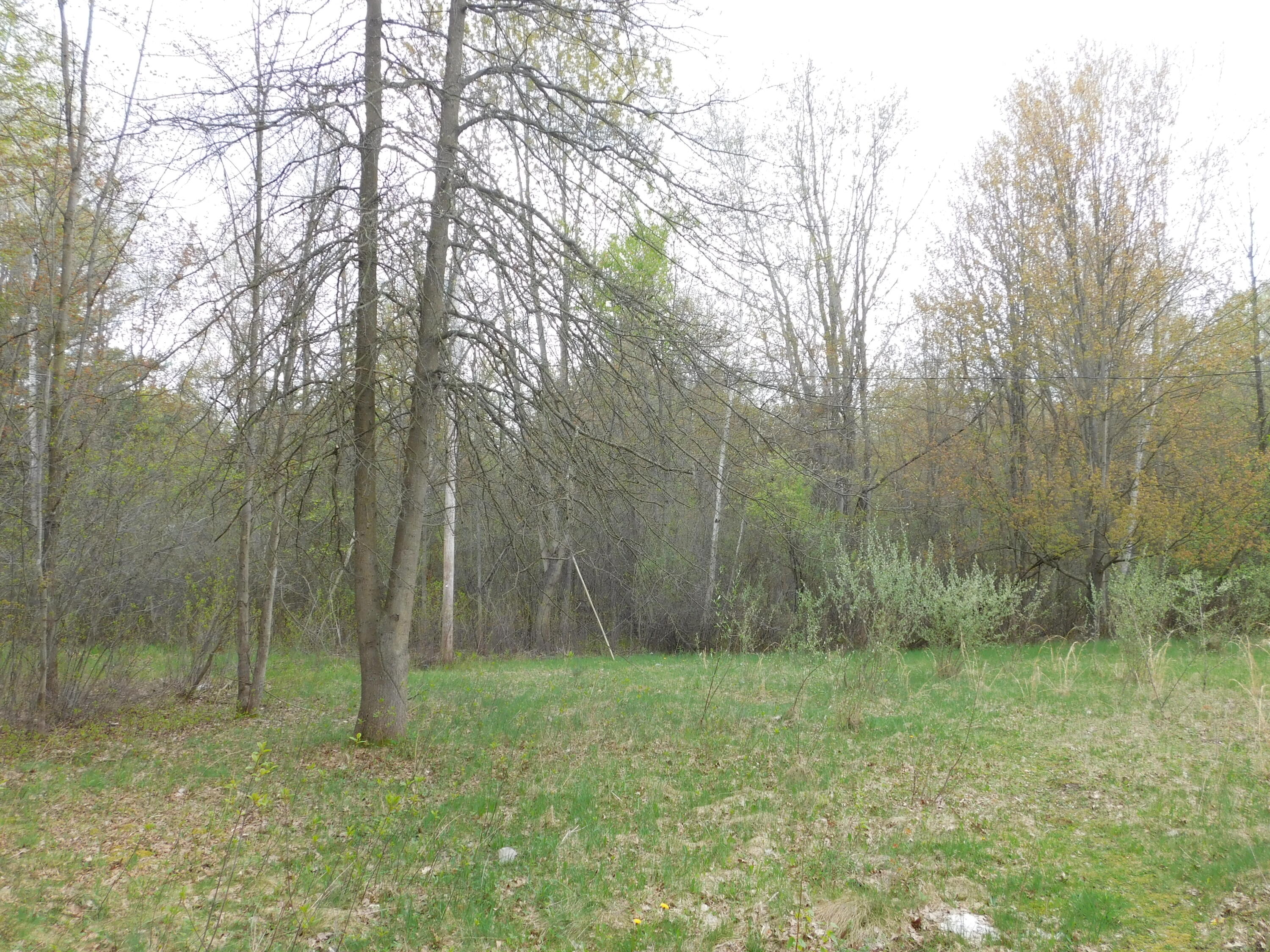14540 Schroeder Road St. Charles, MI 48655 - Photo 28 of 45 DSCN8654