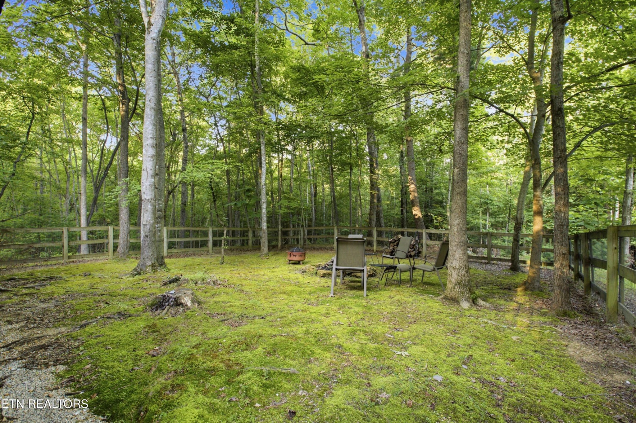 784 Wilderness Trail Oneida, TN 37841 - Photo 22 of 34