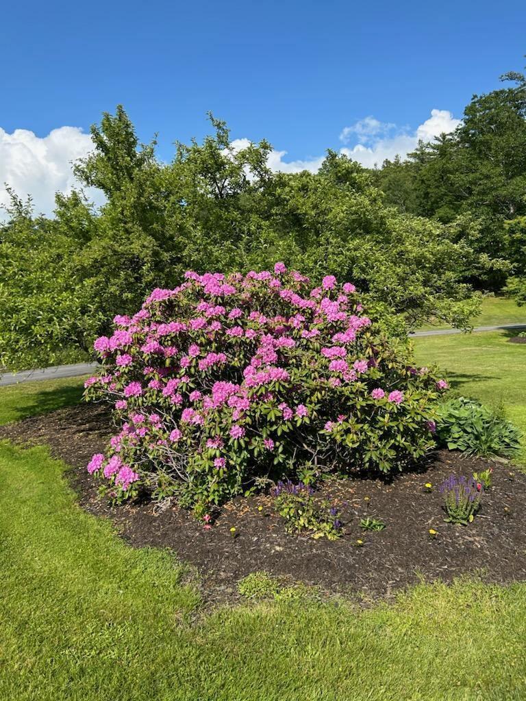 25 Spring View Lane, Unit 6 Bath, ME 04530 - Photo 68 of 79 41659