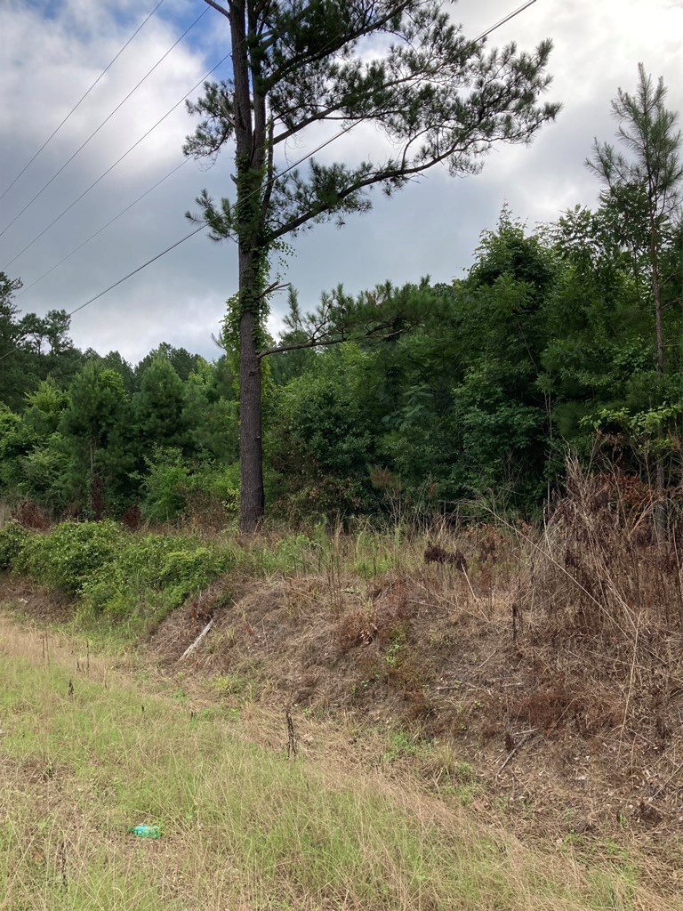 0 Willie Varnum Road Dothan, AL 36301 - Photo 6 of 8