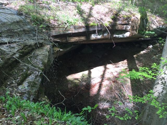 1234 Pine Ridge Road Somerset, KY 42501 - Photo 2 of 34 IMG_5268
