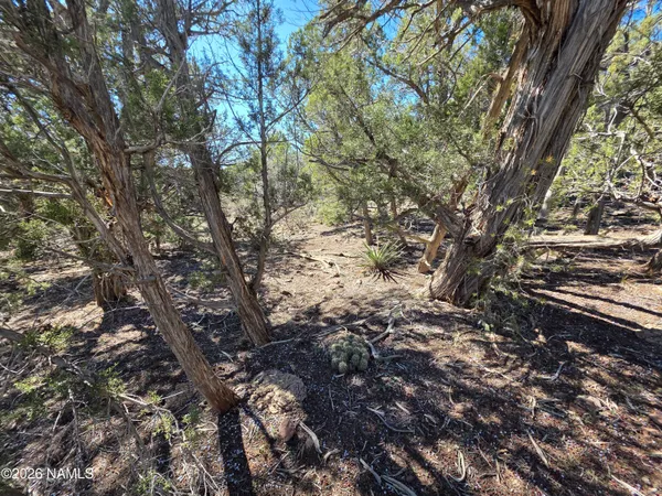 $45,000 | Parcel Parcel 205-33-005, Williams, AZ 86046