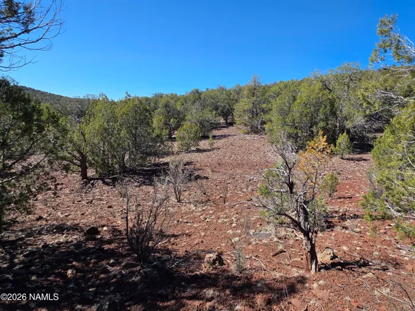 $45,000 | Parcel Parcel 205-33-005, Williams, AZ 86046