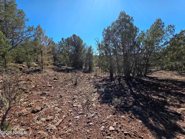 $45,000 | Parcel Parcel 205-33-005, Williams, AZ 86046