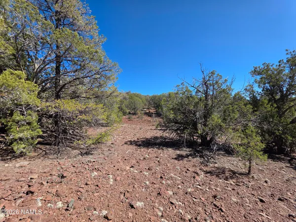 $45,000 | Parcel Parcel 205-33-005, Williams, AZ 86046