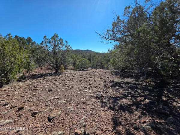 $45,000 | Parcel Parcel 205-33-005, Williams, AZ 86046