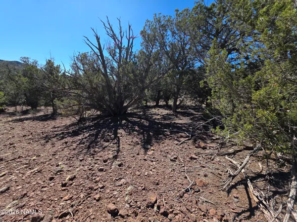 $45,000 | Parcel Parcel 205-33-005, Williams, AZ 86046