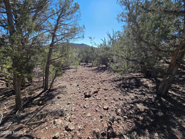 $45,000 | Parcel Parcel 205-33-005, Williams, AZ 86046